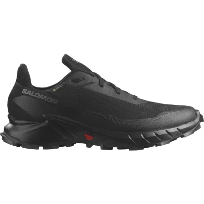 Salomon Alphacross 5 GTX M