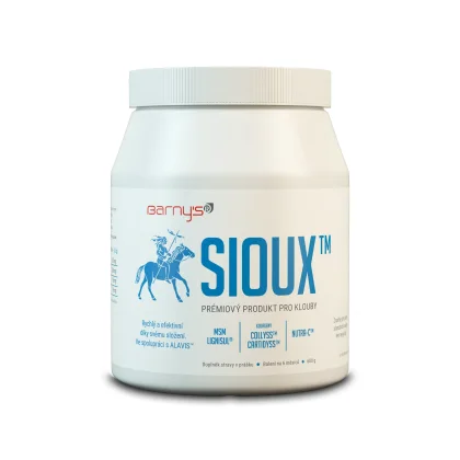 Barny`s Sioux MSM 600 g