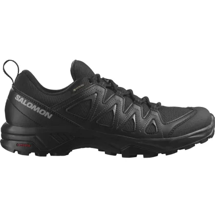 Salomon X Braze GTX M