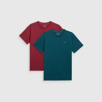 4F Pánské regular hladké tričko (2-pack) - multicolor XL
