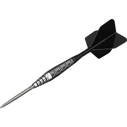 Šipky steel Mission Cameron Carolissen 21g R2.5 Rapid Points 95% wolfram
