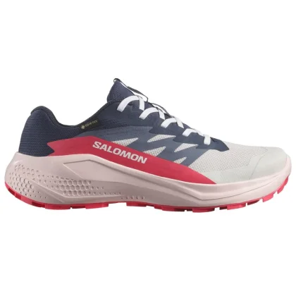 Salomon Alphaglide GTX W