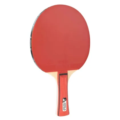 Pálka na stolní tenis JOOLA Team Junior