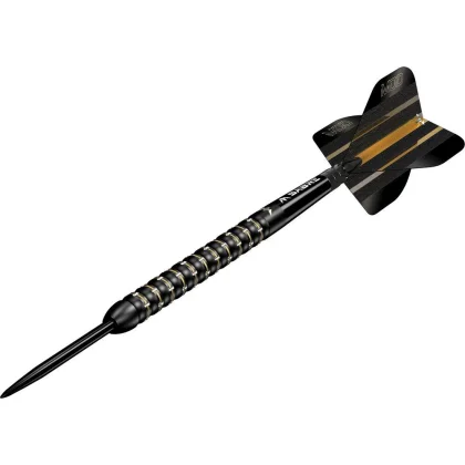 Šipky steel Mission Mike De Decker Black and Gold PVD 22g, 95% wolfram