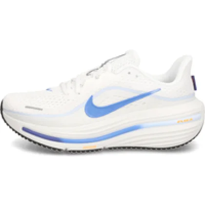Nike Winflo 12