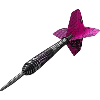 Šipky steel Target Lorraine Winstanley G2 24g SP 90% wolfram