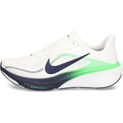 AIR ZOOM PEGASUS 42