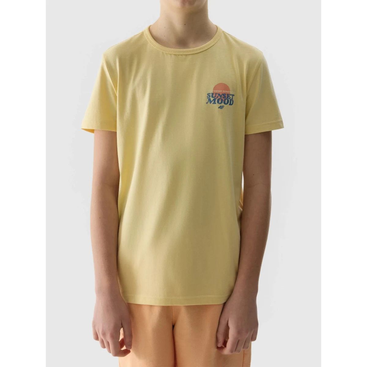 Chlapecké tričko s krátkým rukávem 4F JUNIOR TSHIRT-4FJWSS24TTSHM1136-73S-LIGHT LEMON · záber 5