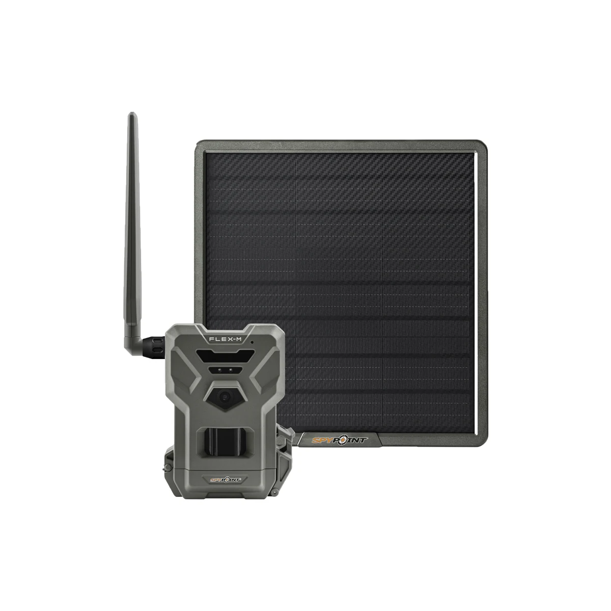 Fotopast Spypoint FLEX-M 28 Mpx, 2 SIM KARTY ZDARMA + Solární panel pro lithiovou baterii · záber 1