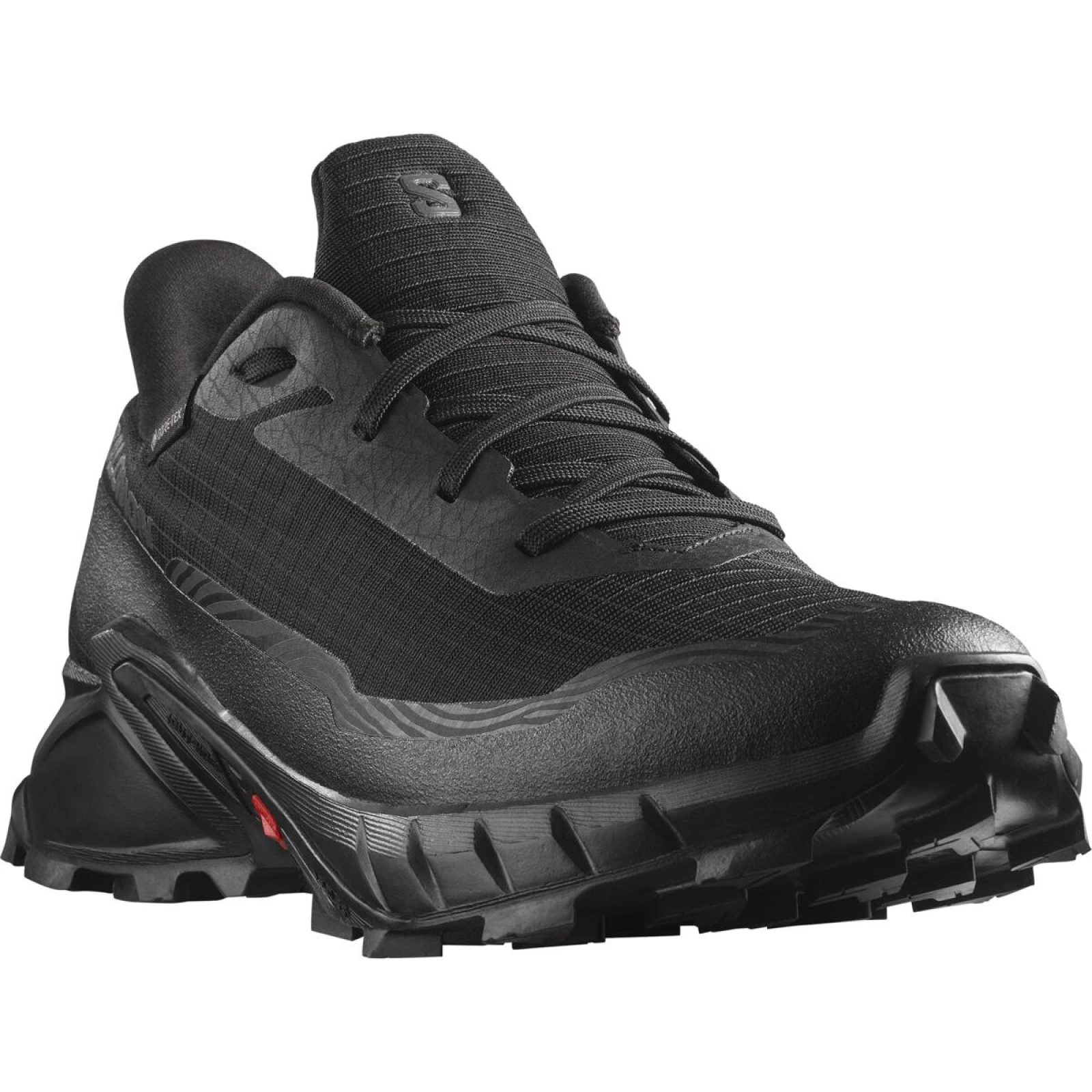 Salomon Alphacross 5 GTX M · záber 2
