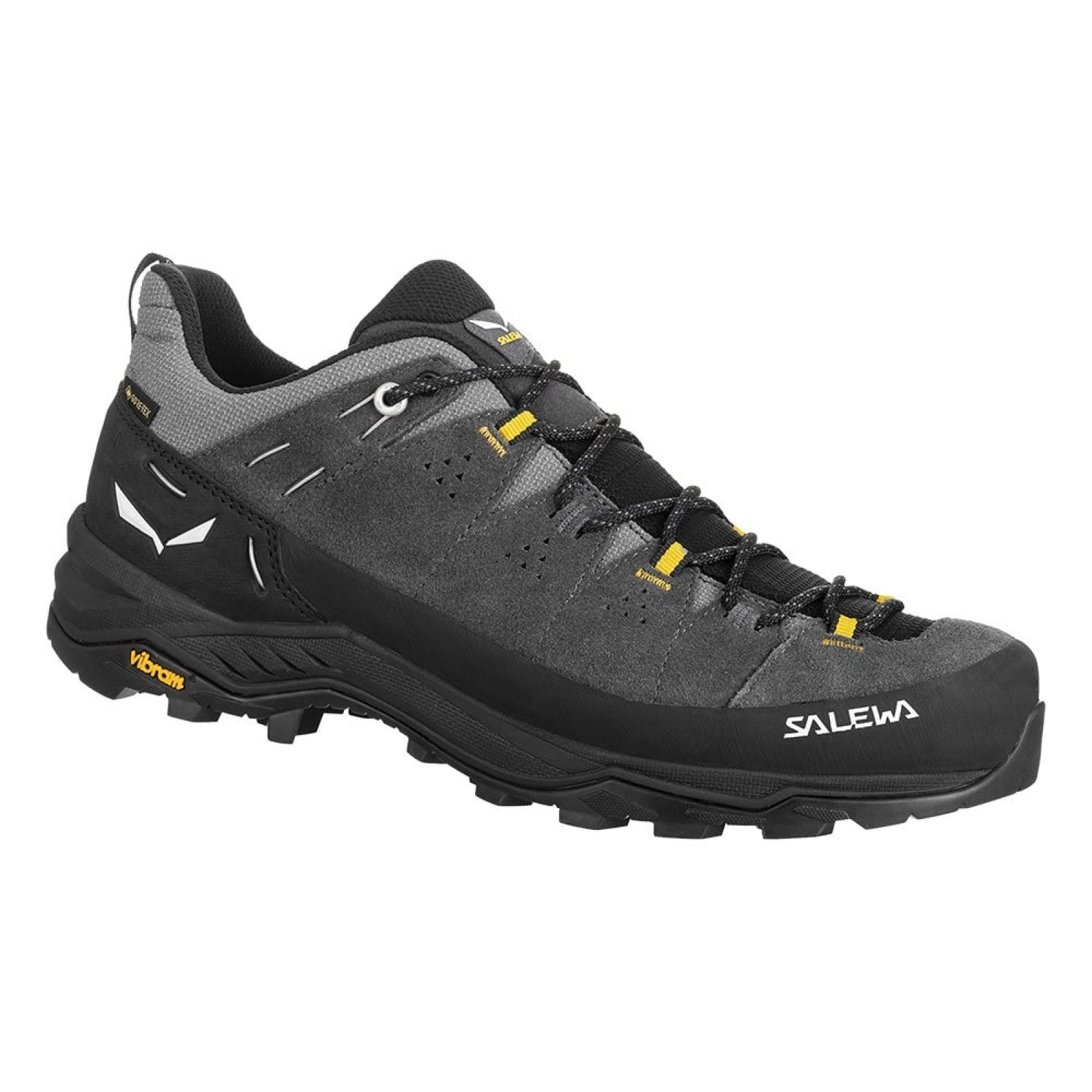 SALEWA Alp Trainer 2 Gore-Tex M · záber 2