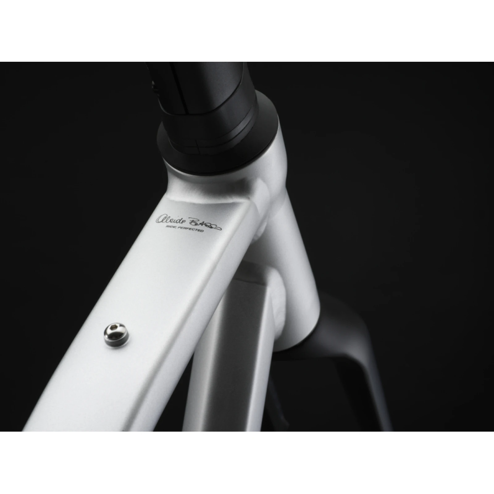 Gravel kolo BASSO Tera, silver, Shimano GRX 600, Microtech MX25 · záber 4