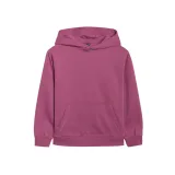 Dívčí zateplená mikina s kapucí 4F JUNIOR SWEATSHIRT F1953-4FJWAW25TSWSF1953-50S-DARK VIOLET · záber 2
