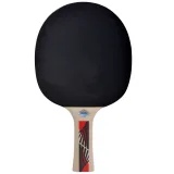 Pálka na stolní tenis DONIC Legends 600 FSC · záber 2