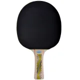 Pálka na stolní tenis DONIC Legends 500 FSC · záber 2