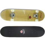 Skateboard SPARTAN Top Board · záber 1