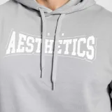 Mikina s kapucí Iron Aesthetics Frontline, modrá · záber 12