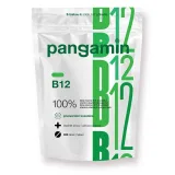 Pangamin B12 200 tablet · záber 1