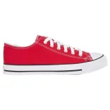 Firefly Canvas Low IV · záber 1