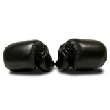 Boxovací rukavice MASTER TG10 · záber 3