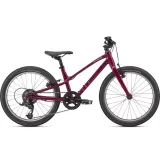 Specialized Jett 24 · záber 1