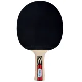 Pálka na stolní tenis DONIC Legends 900 FSC · záber 2
