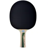 Pálka na stolní tenis DONIC Legends 400 FSC · záber 2