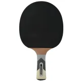 Pálka na stolní tenis DONIC Waldner 700 · záber 3