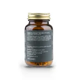 Vitalvibe ASHWAGANDHA Ultimate BIO 500 MG EXTRAKT (60 kapslí) · záber 2