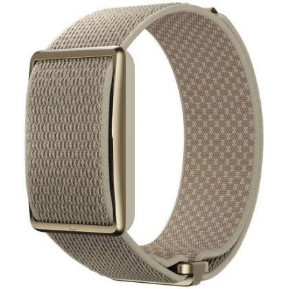 POLAR Loop Gen2 S-L gold