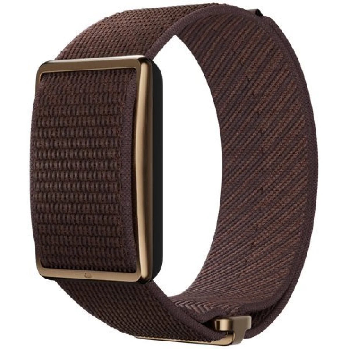 POLAR Loop Gen2 S-L braun · záber 1