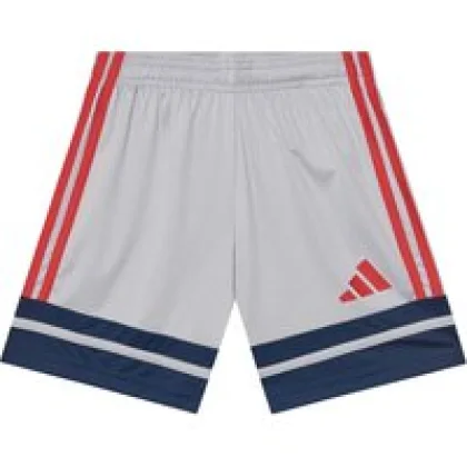 adidas Sportske kratke hlače Squadra 25 JP3416 Siva Regular Fit