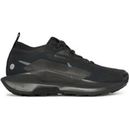 Nike Tenisice za trčanje W Pegasus Trail 5 Gtx FQ0912 002 Crna