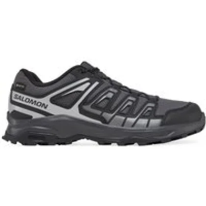 Salomon Trekking Extegra Gore-Tex L47768800 Siva