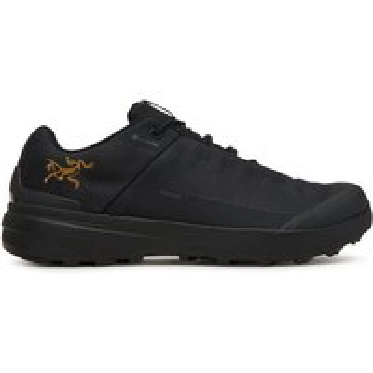 Arc'teryx Trekking Kopec Gtx GORE-TEX X000010023 Crna · záber 1