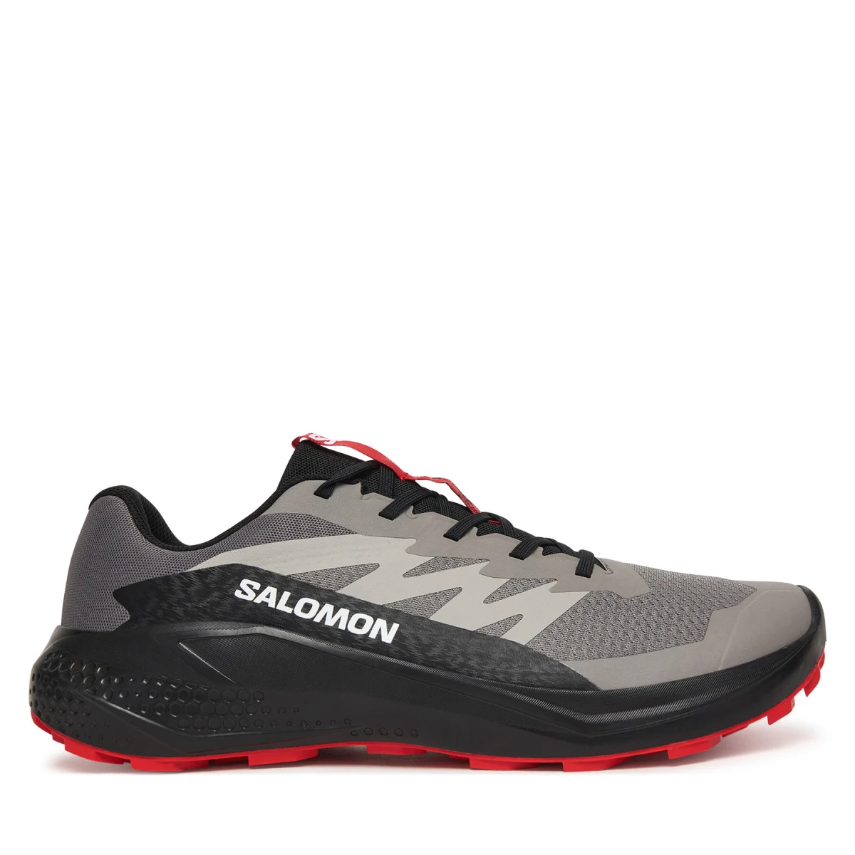 Tenisice za trčanje Salomon Alphaglide L48000800 Siva · záber 2