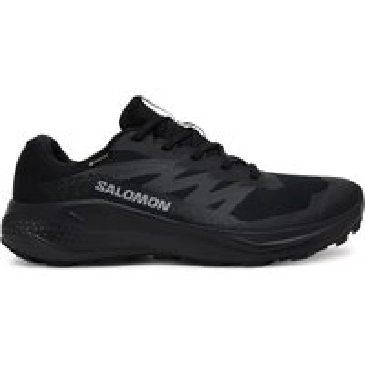Tenisice za trčanje Salomon Alphaglide Gore-Tex L47802100 Crna · záber 1