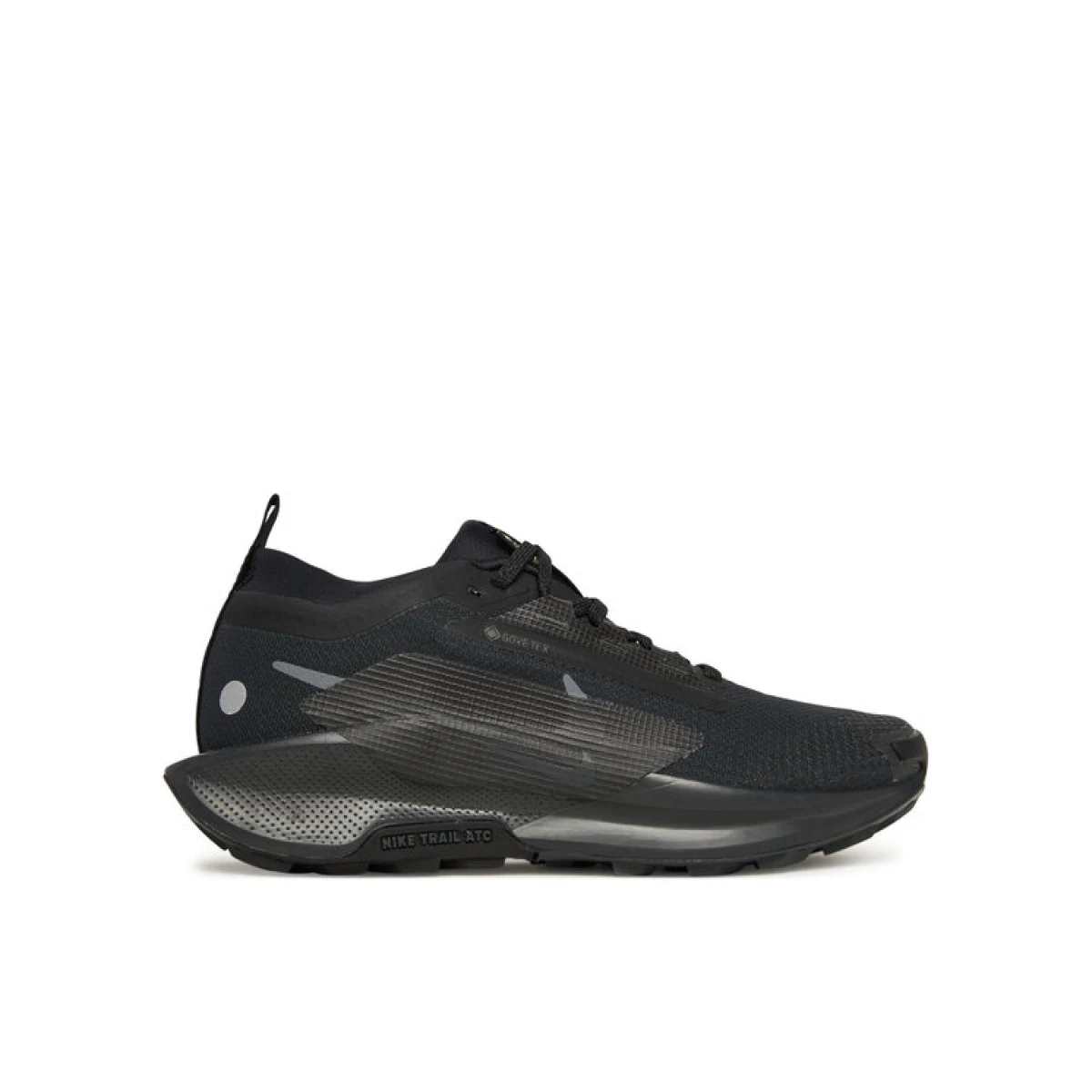 Nike Tenisice za trčanje W Pegasus Trail 5 Gtx FQ0912 002 Crna · záber 2