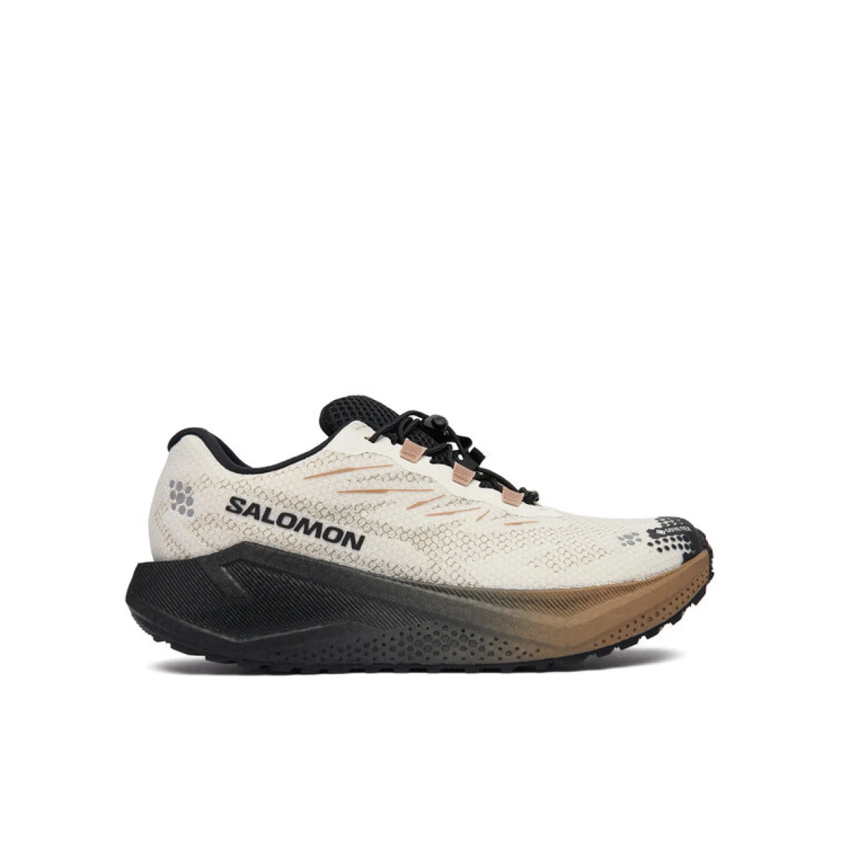 Salomon Tenisice za trčanje Aero Blaze 4 gtx GORE-TEX L45403200 Bež · záber 5