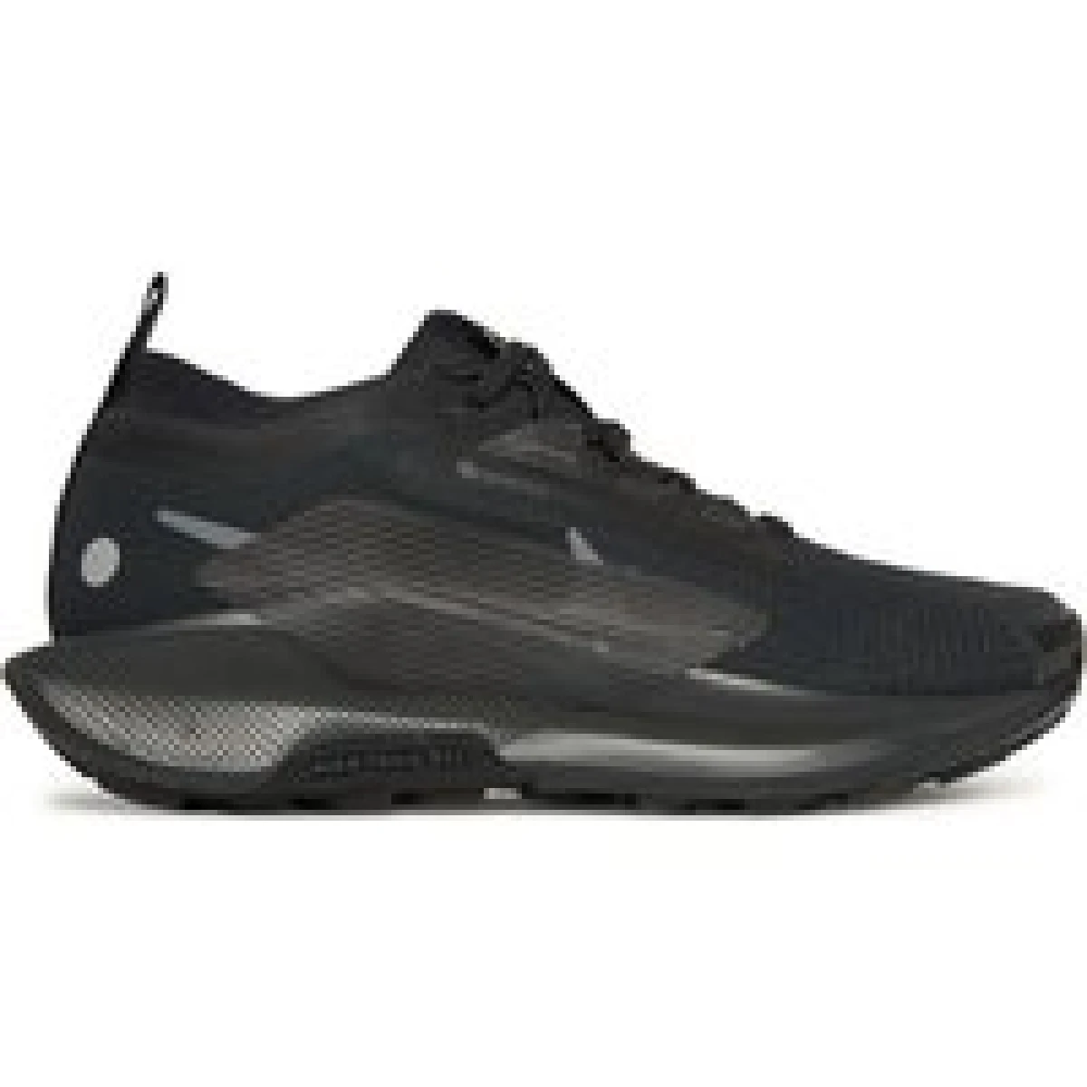 Nike Tenisice za trčanje W Pegasus Trail 5 Gtx FQ0912 002 Crna · záber 4