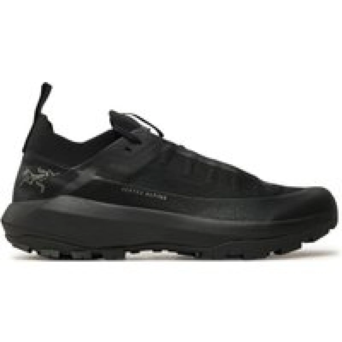 Trekking Arc'teryx Verte Alpine Gtx Gore-Tex X000009602 Zelena · záber 1