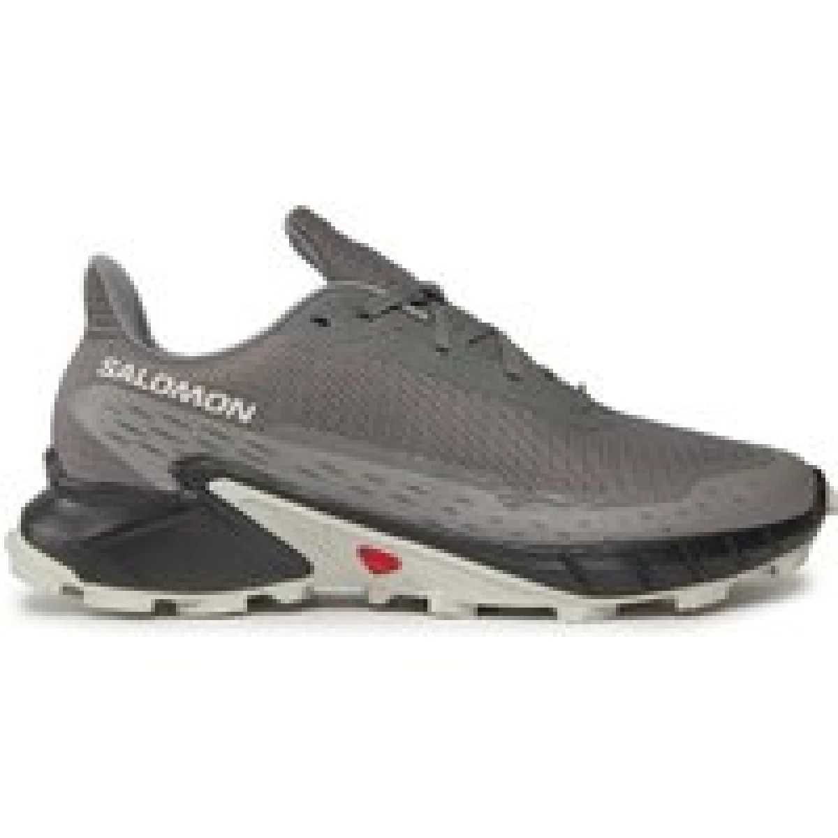 Tenisice za trčanje Salomon Alphacross 5 473133 29 W0 Siva · záber 1