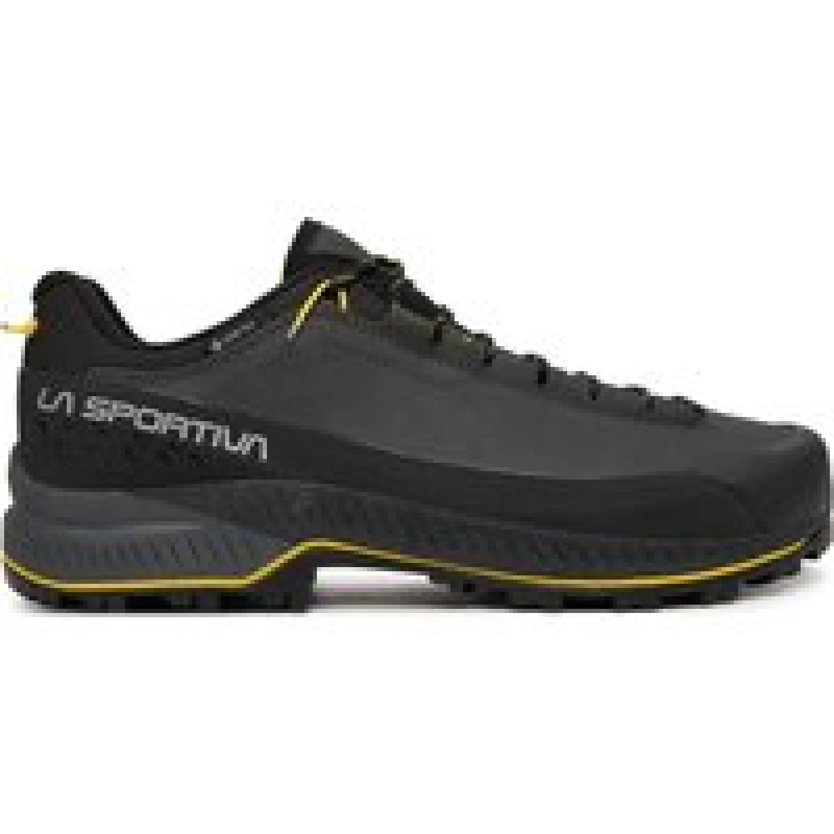 Trekking La Sportiva TX5 Evo GTX ZFHS106G00Y00 Crna - Veličina: 44 | Boja: čierna | Dobna skupina: Odrasli | Spol: Muško · záber 1