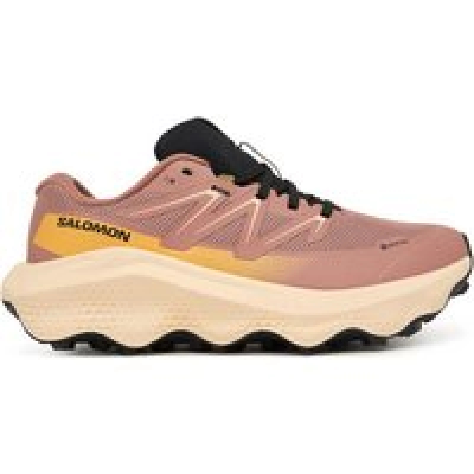 Salomon Tenisice za trčanje Ultra Flow 2 Gtx L47884500 Ružičasta · záber 1
