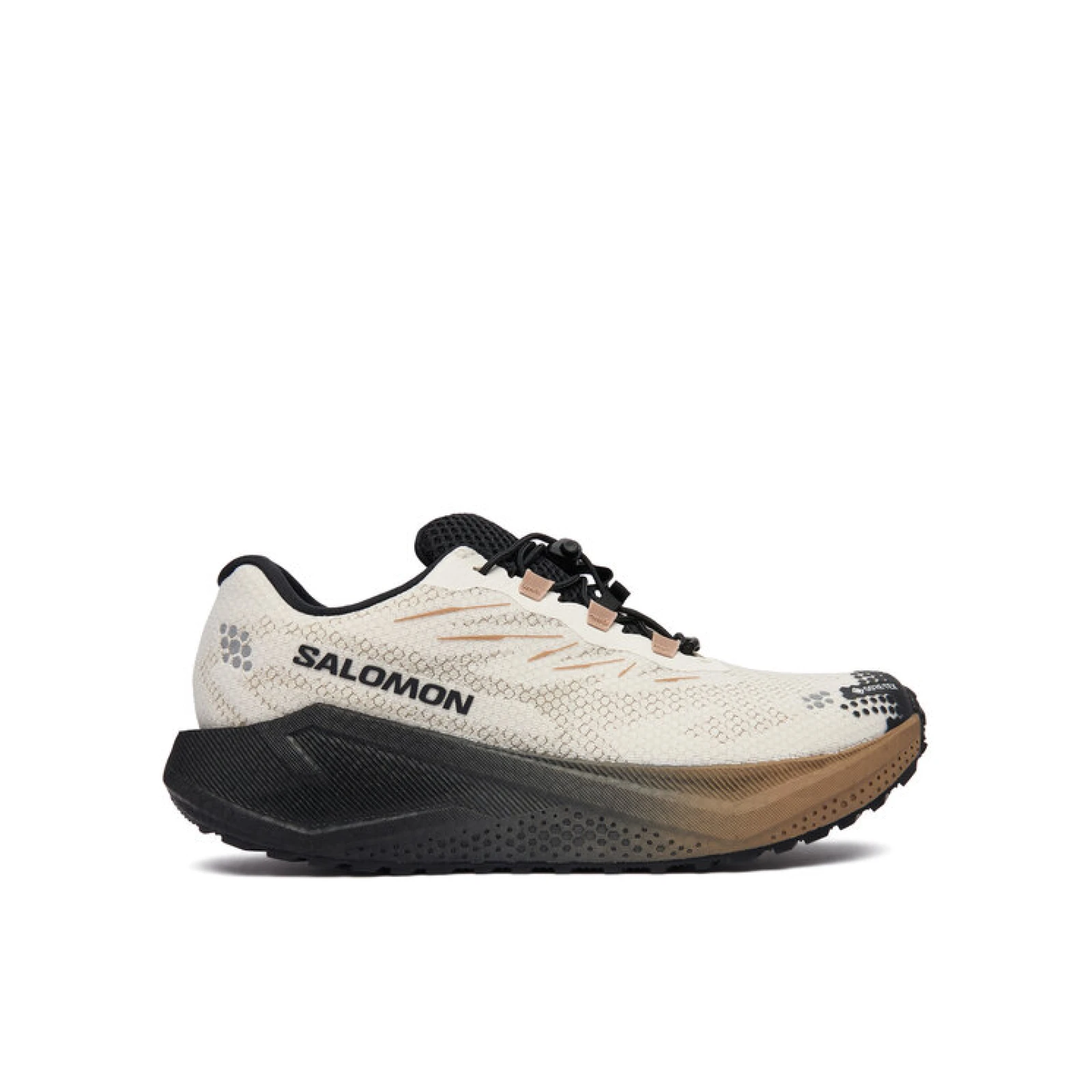 Salomon Tenisice za trčanje Aero Blaze 4 gtx GORE-TEX L45403200 Bež · záber 5