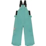 Roxy Skijaške hlače Lola ERLTP03012 Zelena Regular Fit · záber 1