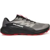 Tenisice za trčanje Salomon Alphaglide L48000800 Siva · záber 1