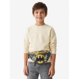 Torbica Batman CEO-ACCCS-SS26-228WBBAT Siva · záber 2