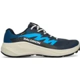 Salomon Tenisice za trčanje Alphaglide Gtx L47975100 Plava - Veličina: 40 | Boja: modrá | Dobna skupina: Odrasli | Spol: Muško · záber 1