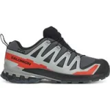 Salomon Trekking Xa Pro 3D V9 Gore-Tex L47817500 Siva · záber 1